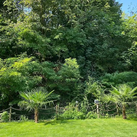 Tatil Evi Saklı Doğa Başiskele Bahcecik