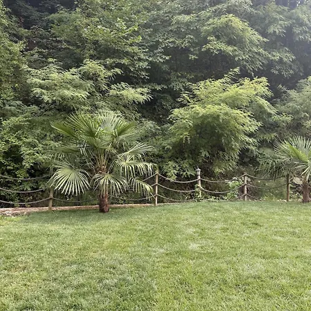 Tatil Evi Saklı Doğa Başiskele